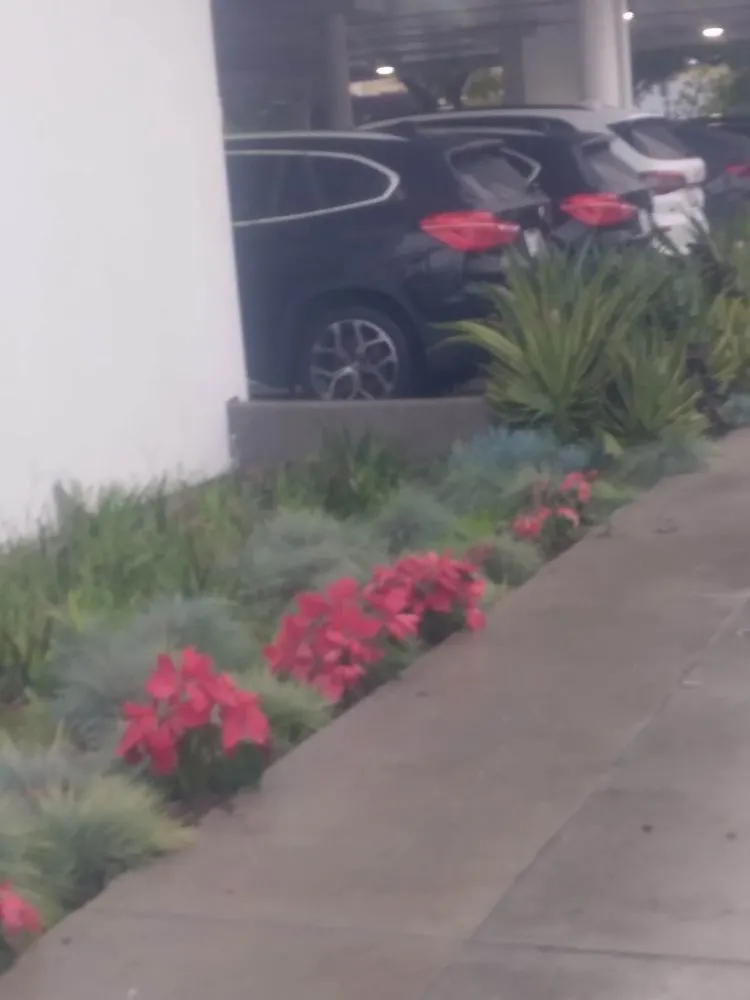 Top-rated lawn mowing service for homes across San Fernando Valley, CA - Eclipse Landscaping & Maintenance