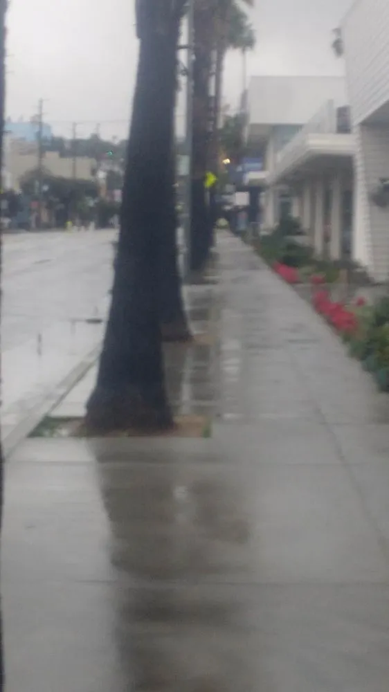 Professional outdoor landscaping in San Fernando Valley, CA by Eclipse Landscaping & Maintenance