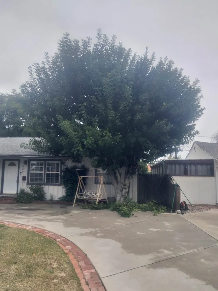 Professional garden landscaping experts serving San Fernando Valley, CA - Eclipse Landscaping & Maintenance