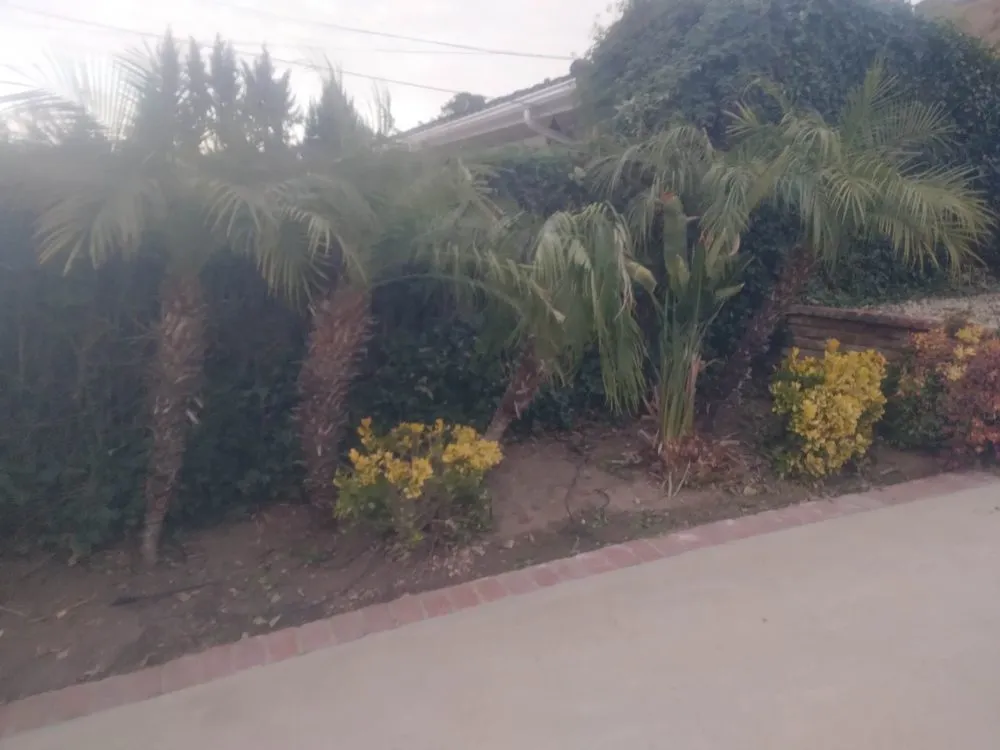 Top-rated lawn care service in San Fernando Valley, CA - Eclipse Landscaping & Maintenance