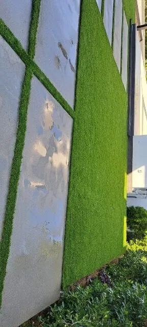 Expert yard maintenance in San Fernando Valley, CA by Eclipse Landscaping & Maintenance