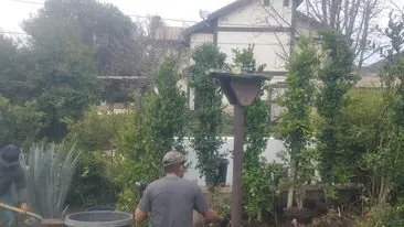 Reliable yard cleanup service in San Fernando Valley, CA - Eclipse Landscaping & Maintenance