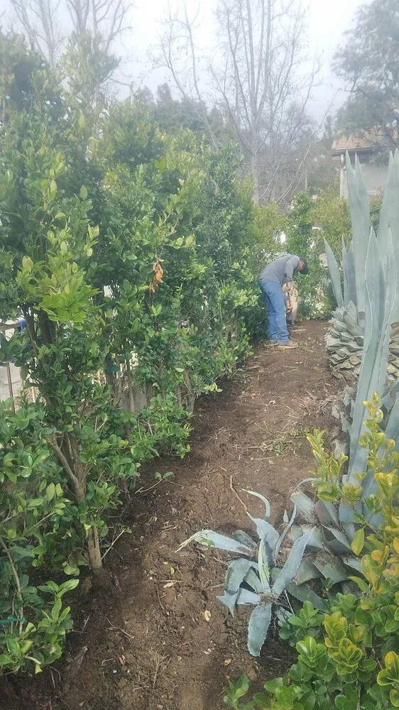 Expert garden landscaping experts serving San Fernando Valley, CA - Eclipse Landscaping & Maintenance