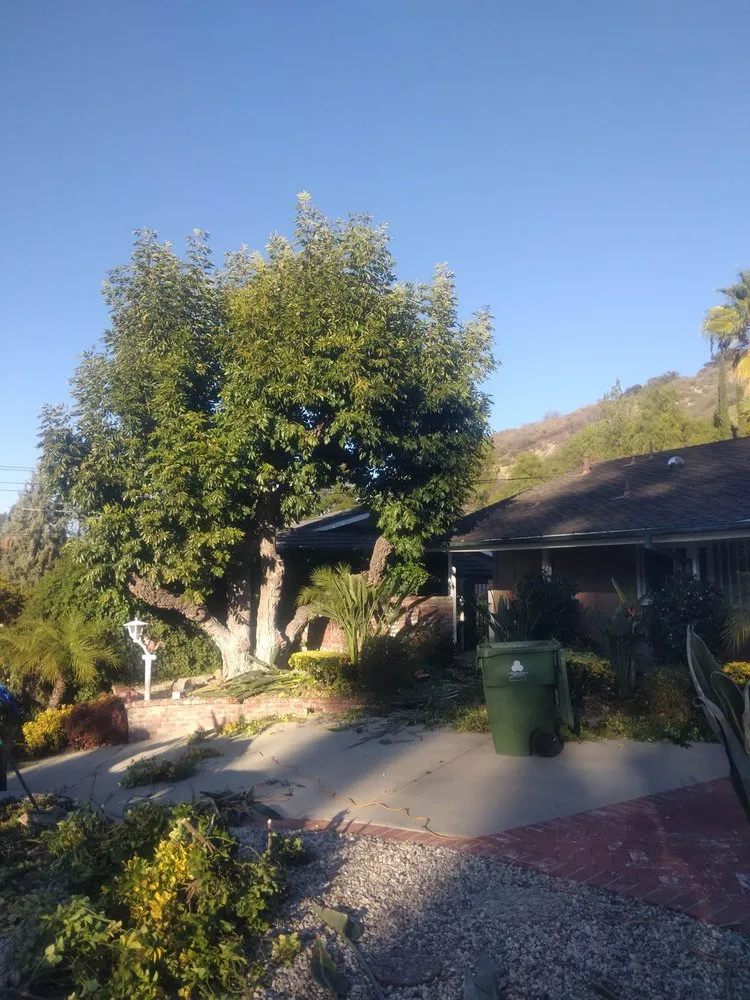 Local lawn mowing service in San Fernando Valley, CA - Eclipse Landscaping & Maintenance