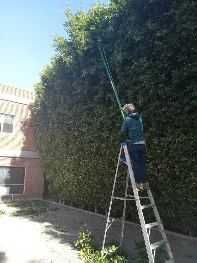 Local outdoor landscaping in San Fernando Valley, CA - Eclipse Landscaping & Maintenance