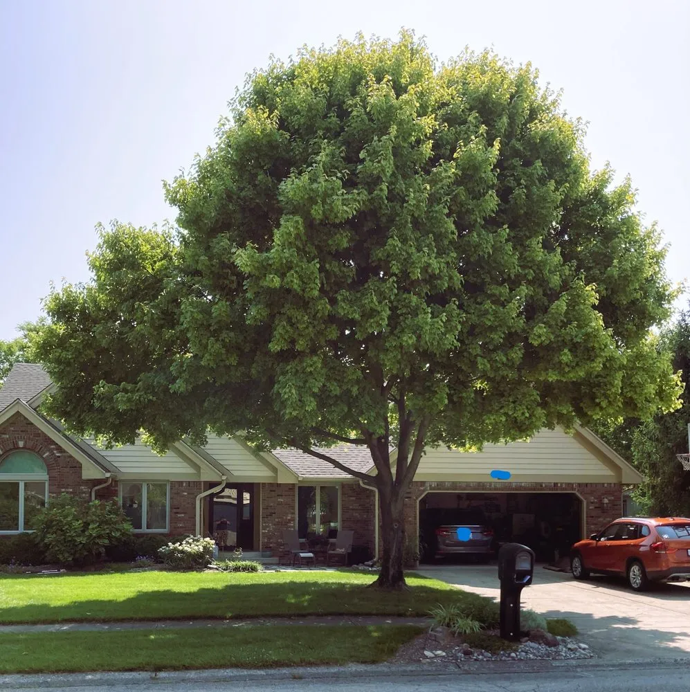 Custom landscape installation for residential properties across Noblesville, IN - Eclipse Landscaping