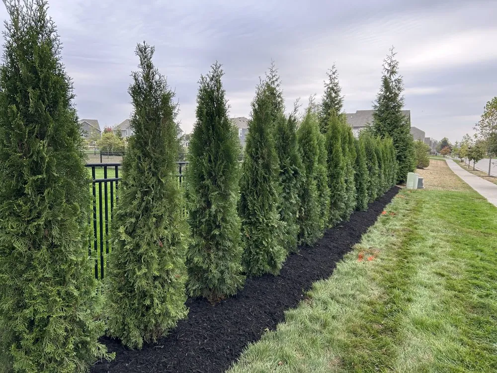 Trusted lawn care service for residential properties across Noblesville, IN - Eclipse Landscaping