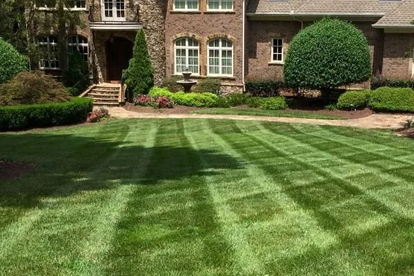 Custom lawn mowing service in Raleigh, NC by ECM Landscaping and Lawn Care