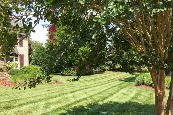 Custom lawn care service for beautiful yards across Raleigh, NC - ECM Landscaping and Lawn Care