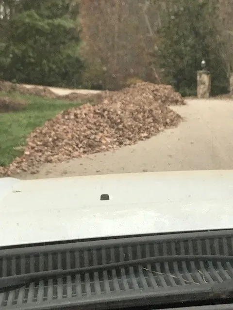 Reliable lawn care service experts serving Raleigh, NC - ECM Landscaping and Lawn Care