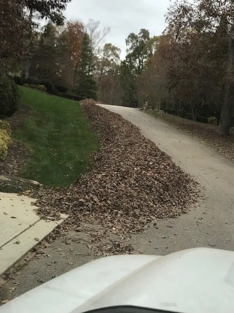 Reliable residential landscaping near you in Raleigh, NC by ECM Landscaping and Lawn Care