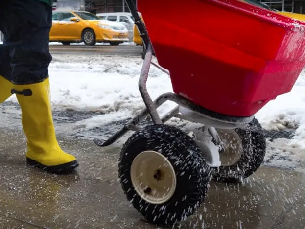 Trusted yard cleanup service for outdoor upgrades in Tacoma, WA by ECMP Landscaping