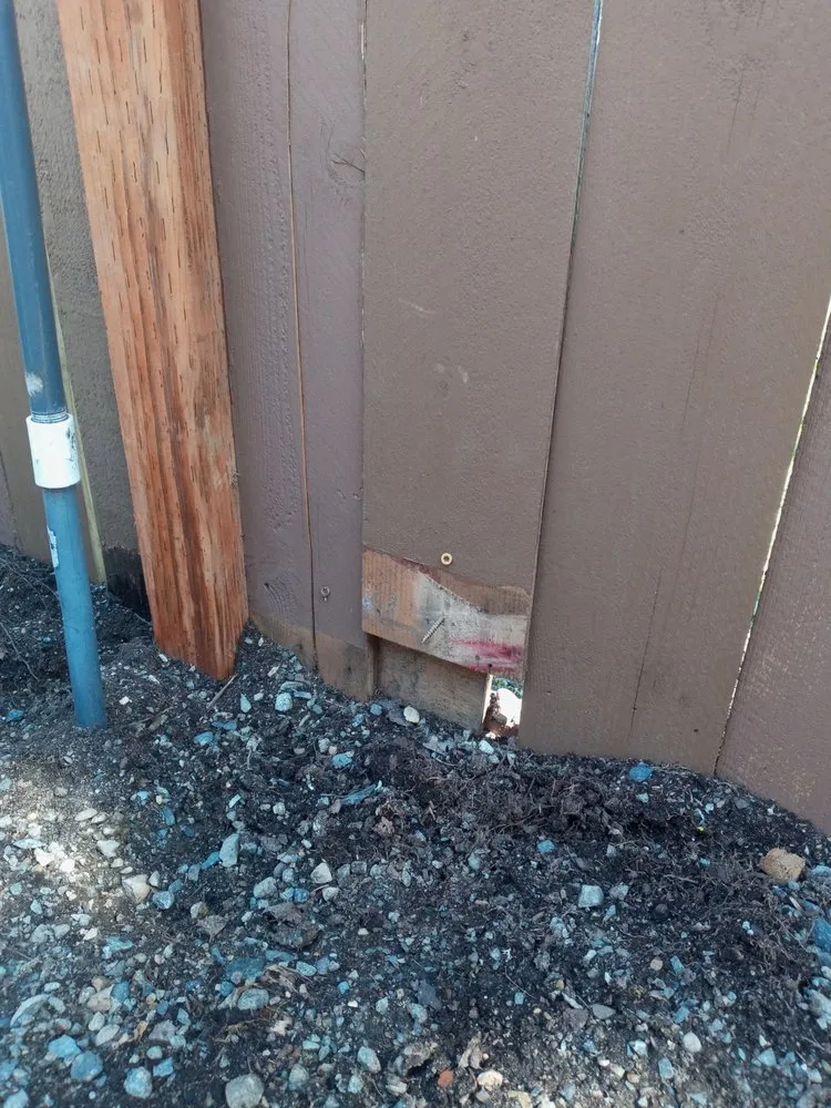 Trusted yard maintenance in Tacoma, WA by ECMP Landscaping