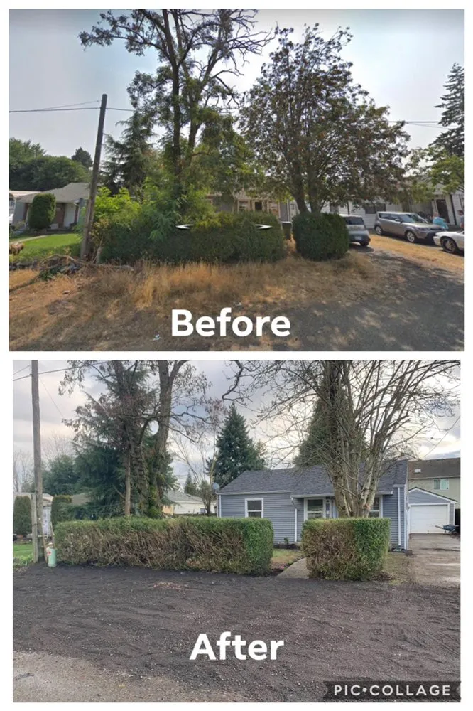 Professional garden landscaping in Tacoma, WA - ECMP Landscaping
