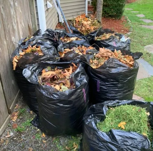 Affordable lawn mowing service in Tacoma, WA by ECMP Landscaping