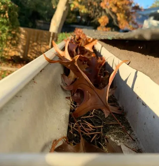 Affordable garden landscaping experts serving Tacoma, WA - ECMP Landscaping