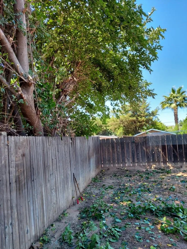 Reliable garden landscaping experts serving Fresno, CA - Eco Balance Landscaping