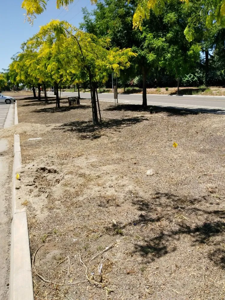 Reliable garden landscaping in Fresno, CA - Eco Balance Landscaping