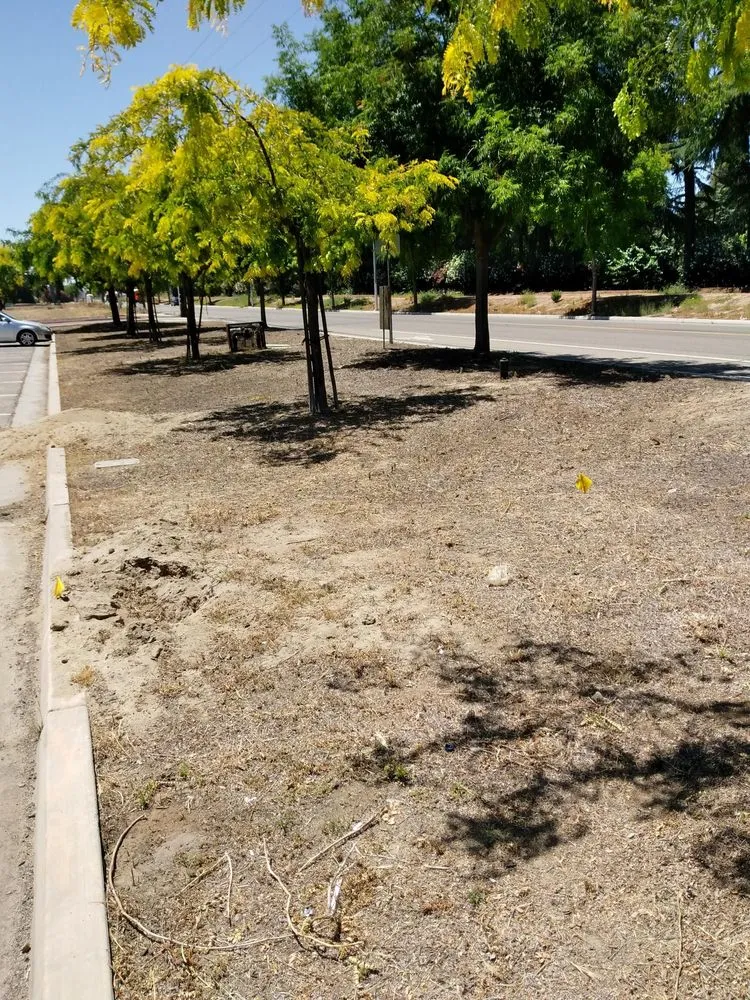 Affordable outdoor landscaping for homes in Fresno, CA by Eco Balance Landscaping