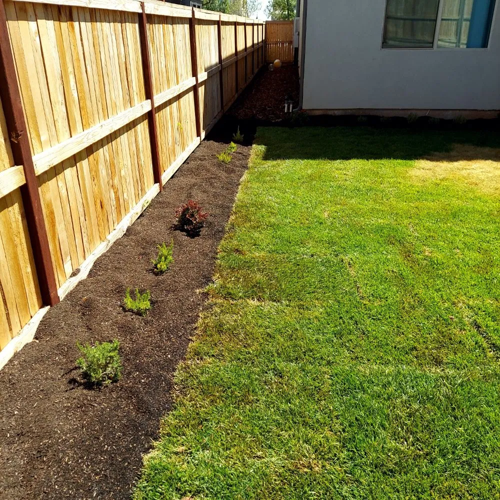 Expert yard cleanup service in Fresno, CA by Eco Balance Landscaping