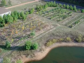 Custom landscape design in Mosinee, WI by Eco-Building & Forestry