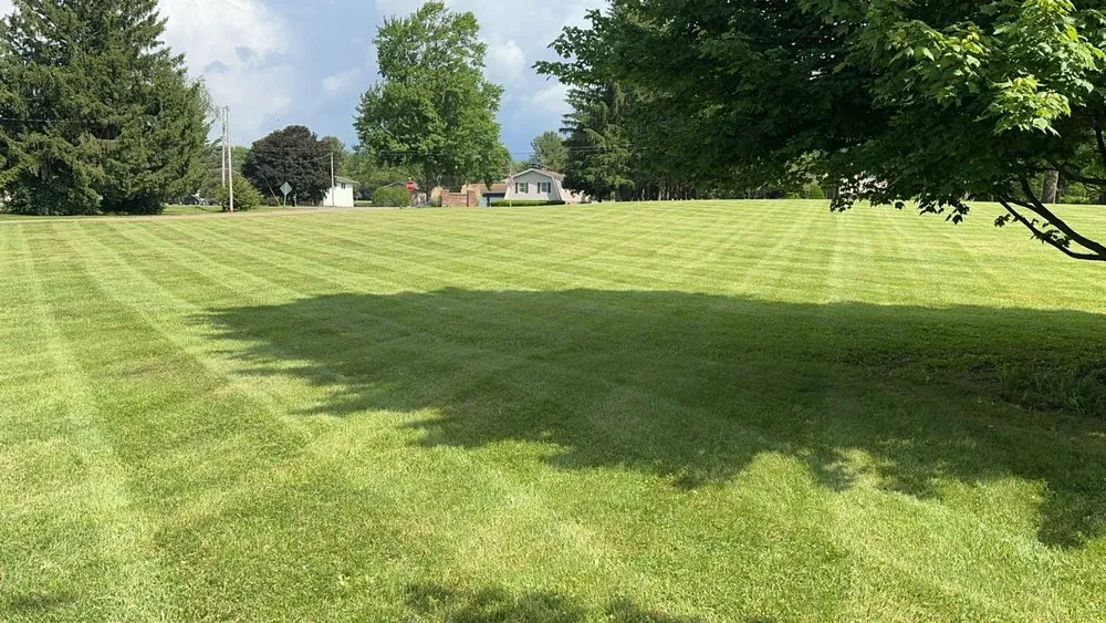 Local landscape installation with custom design across Youngstown, OH - Eco Care