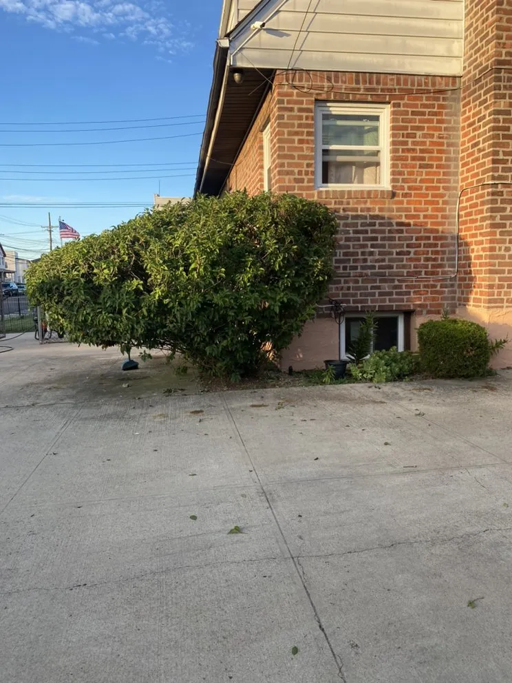 Reliable lawn care service in Philadelphia, PA by Eco Cleaning Solutions