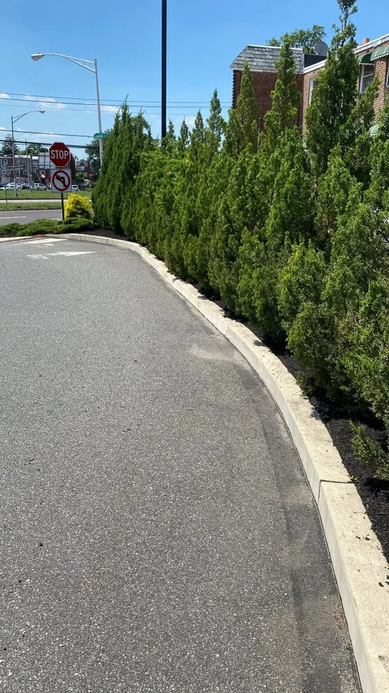 Custom garden landscaping in Philadelphia, PA by Eco Cleaning Solutions