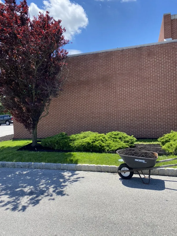 Top-rated lawn care service experts serving Philadelphia, PA - Eco Cleaning Solutions