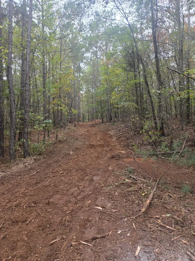 Local landscaping services in Tallassee, AL by Eco Clear Land Solutions