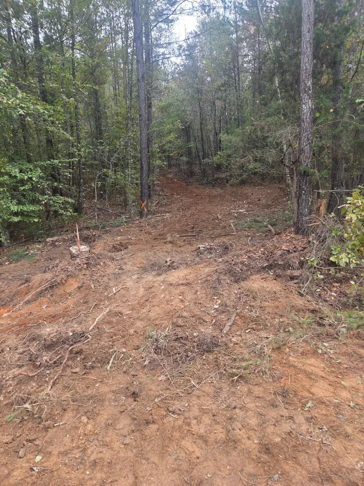 Expert outdoor landscaping for beautiful yards in Tallassee, AL by Eco Clear Land Solutions