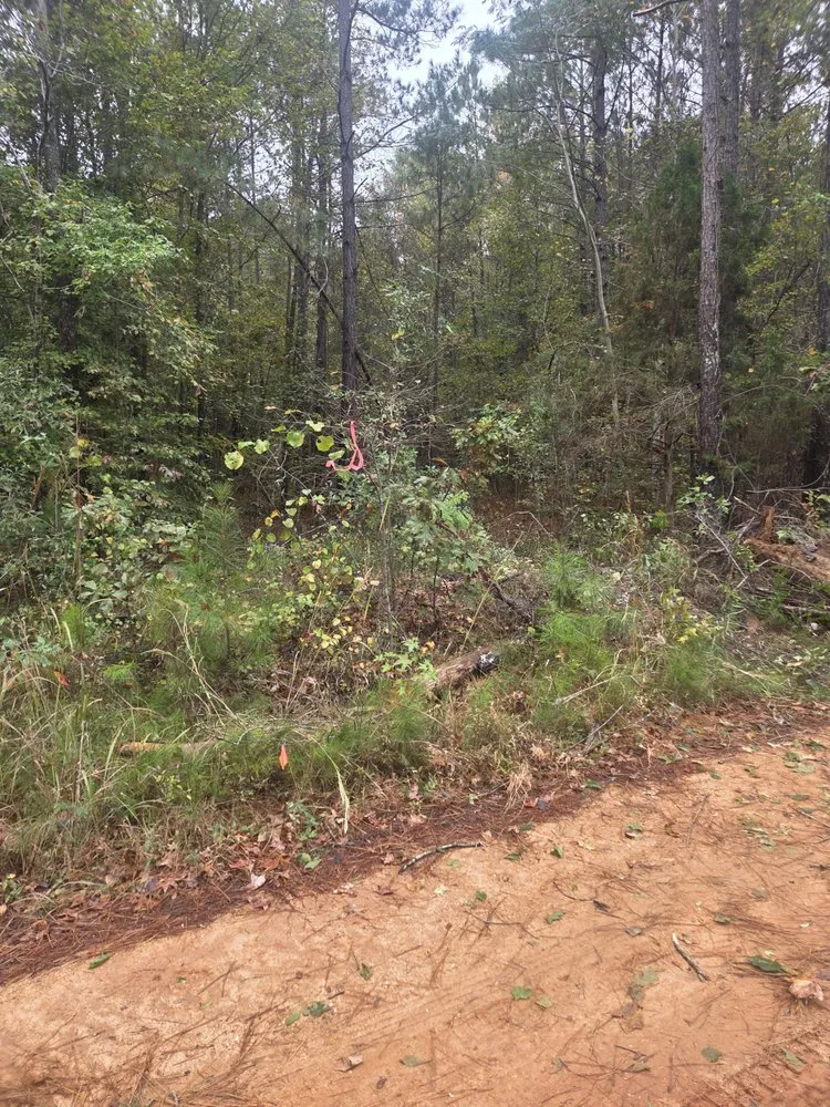 Local lawn mowing service for year-round maintenance across Tallassee, AL - Eco Clear Land Solutions