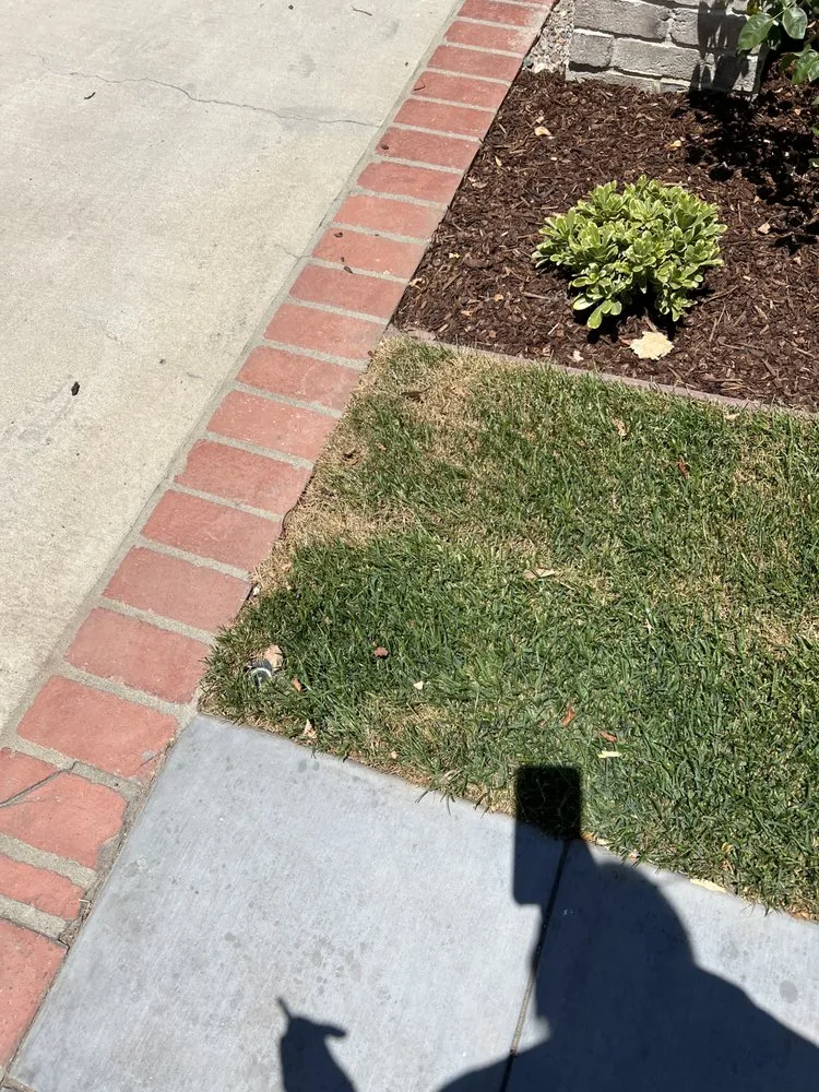 Trusted garden landscaping for year-round maintenance in Manhattan Beach, CA by Eco Concepts