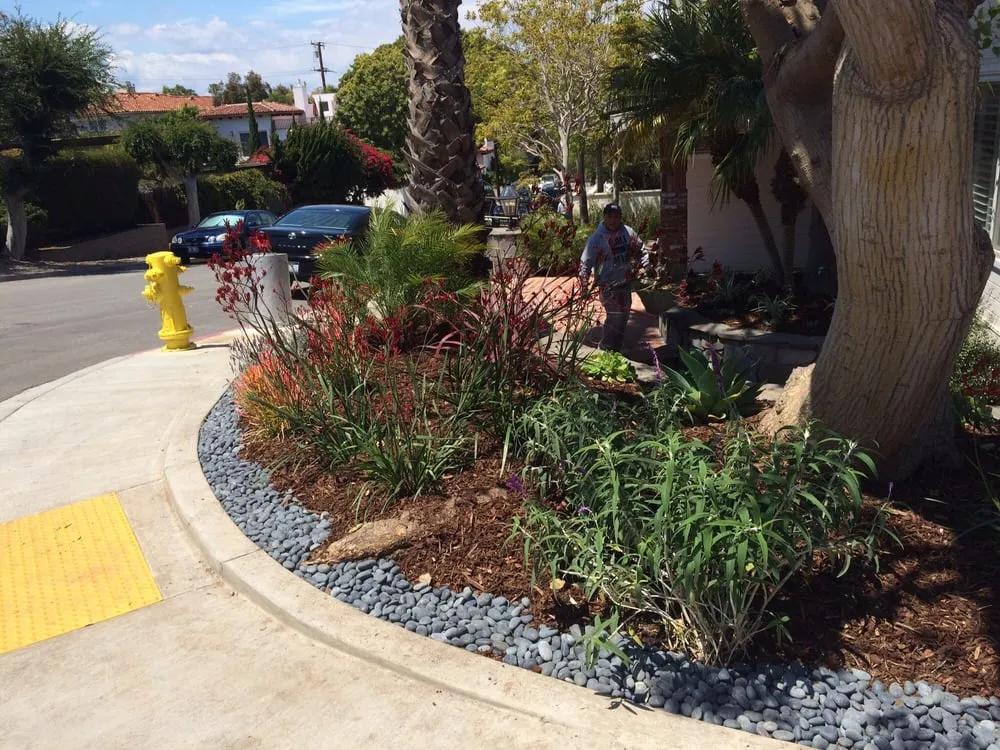 Expert lawn care service with custom design in Manhattan Beach, CA by Eco Concepts