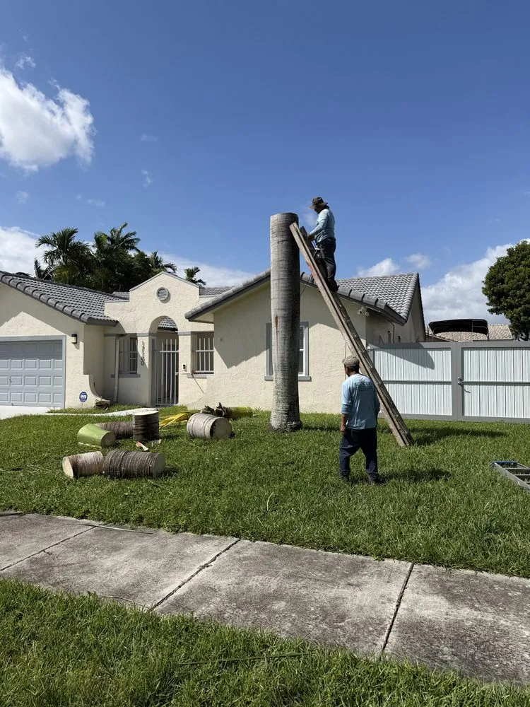 Local landscape installation in Miami, FL by Eco Cut