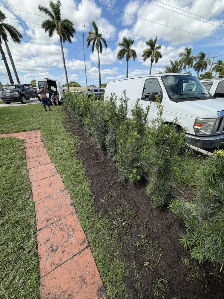 Trusted lawn care service in Miami, FL by Eco Cut