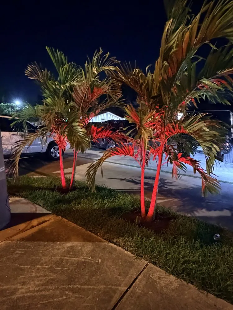 Affordable landscape design in Miami, FL - Eco Cut