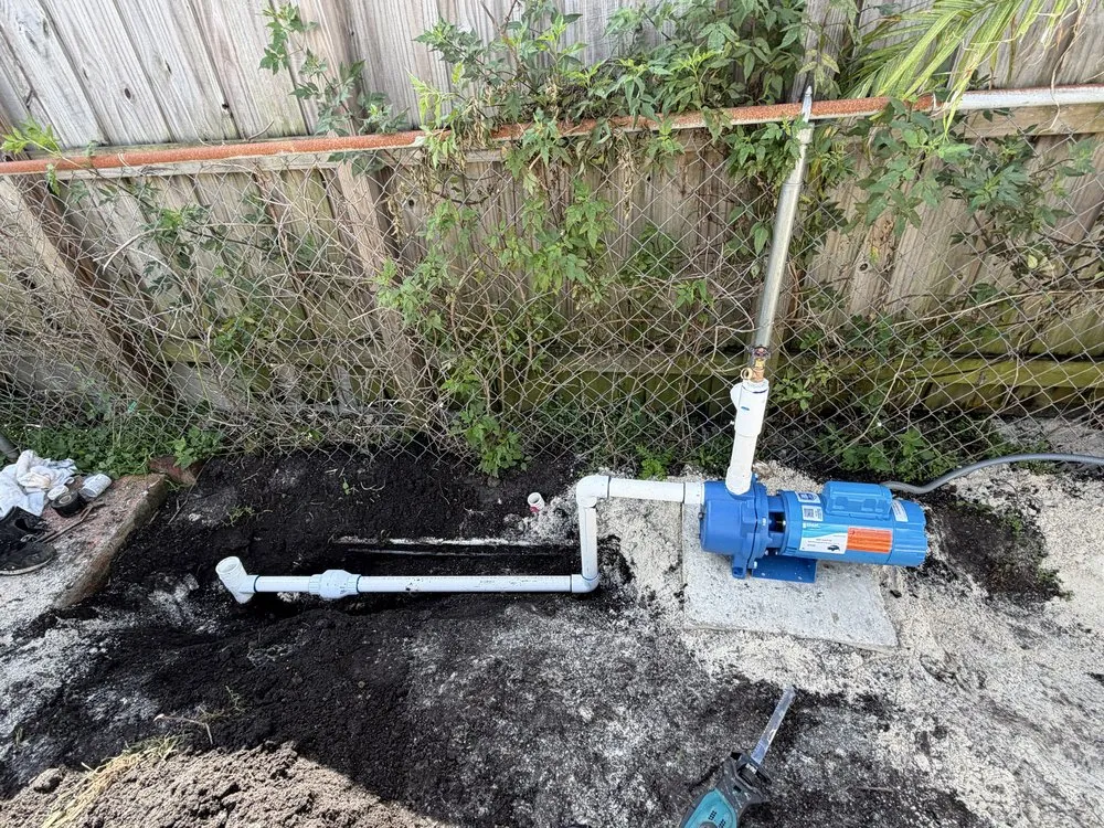 Reliable yard maintenance for beautiful yards across Miami, FL - Eco Cut