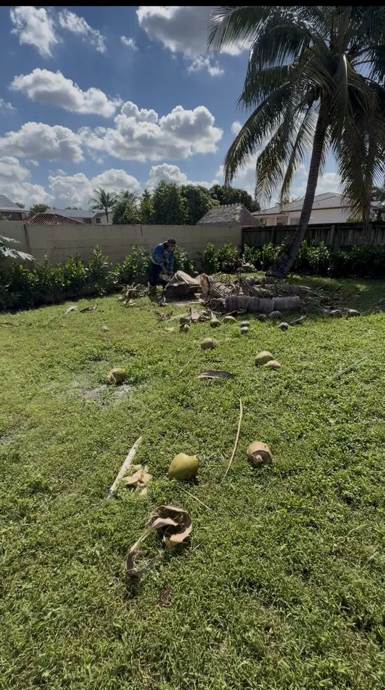 Top-rated lawn care service in Miami, FL by Eco Cut