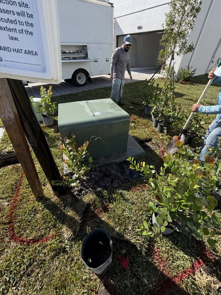 Professional landscape design in Miami, FL - Eco Cut