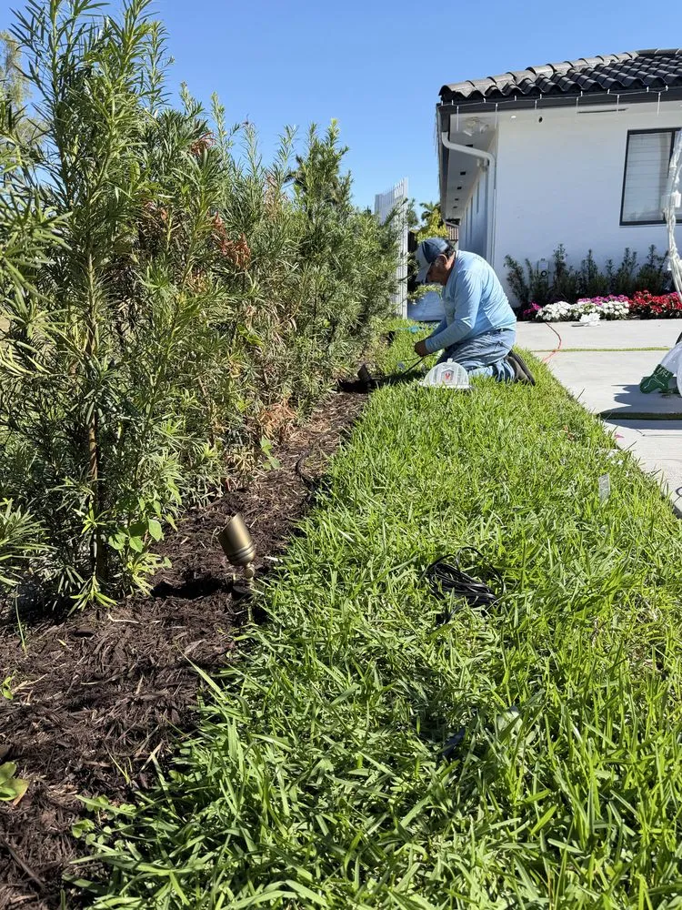 Reliable lawn care service experts serving Miami, FL - Eco Cut