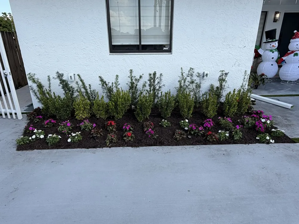 Local residential landscaping experts serving Miami, FL - Eco Cut