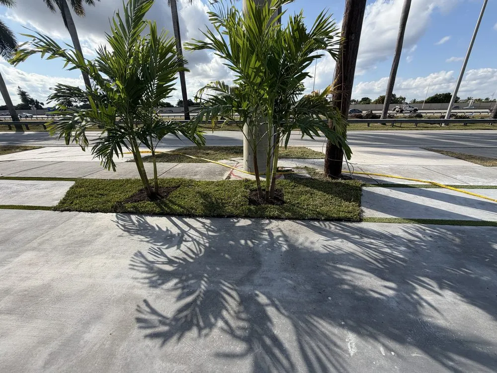 Reliable yard maintenance in Miami, FL by Eco Cut