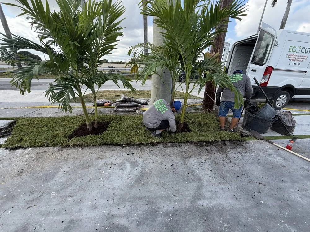 Custom yard maintenance experts serving Miami, FL - Eco Cut