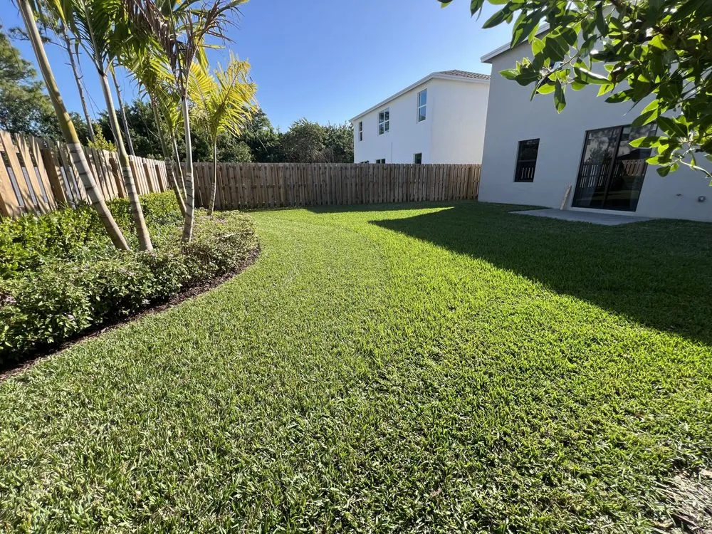 Local yard cleanup service near you across Miami, FL - Eco Cut