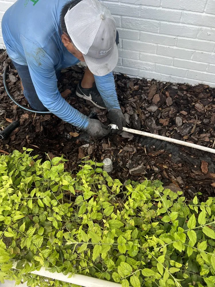 Affordable landscaping services experts serving Miami, FL - Eco Cut