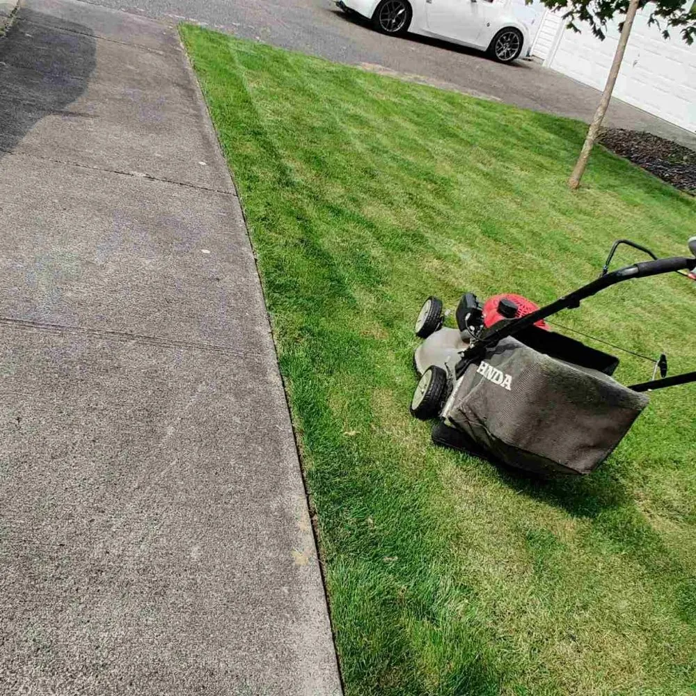 Top-rated yard maintenance for outdoor upgrades in Lakewood, WA by Eco Cuts NW