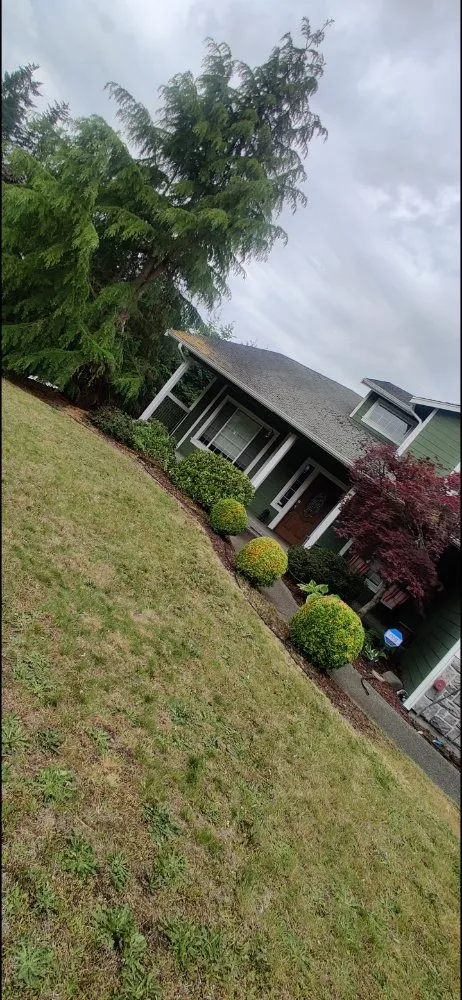 Professional garden landscaping in Lakewood, WA by Eco Cuts NW