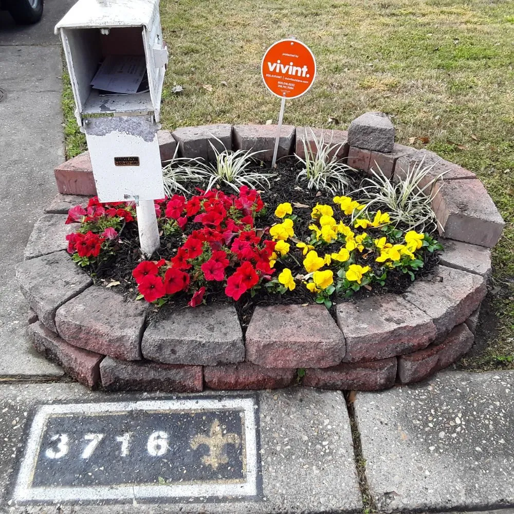 Top-rated yard maintenance for beautiful yards in Metairie, LA by Eco Dat Outside Services