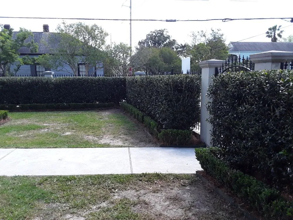 Reliable lawn care service in Metairie, LA by Eco Dat Outside Services